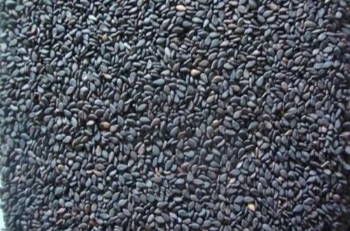 Raw Black Sesame Seeds