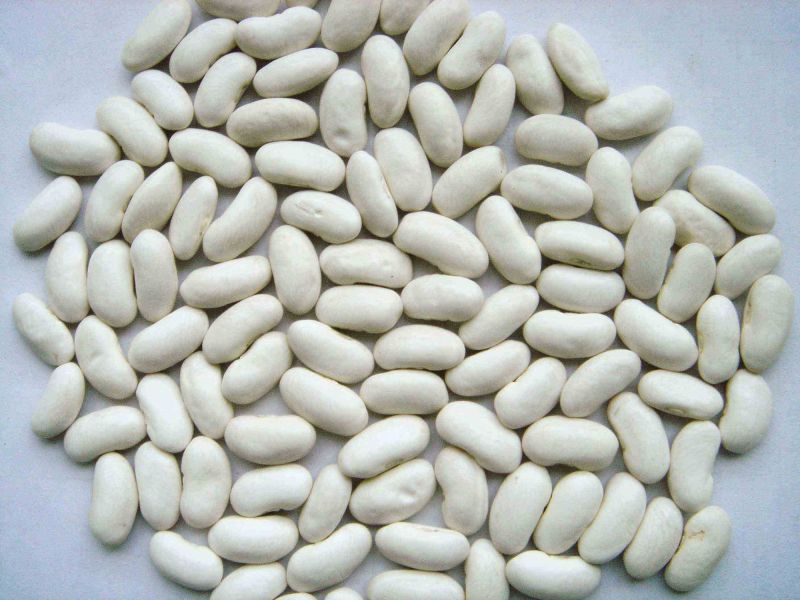 White Kidney Beans