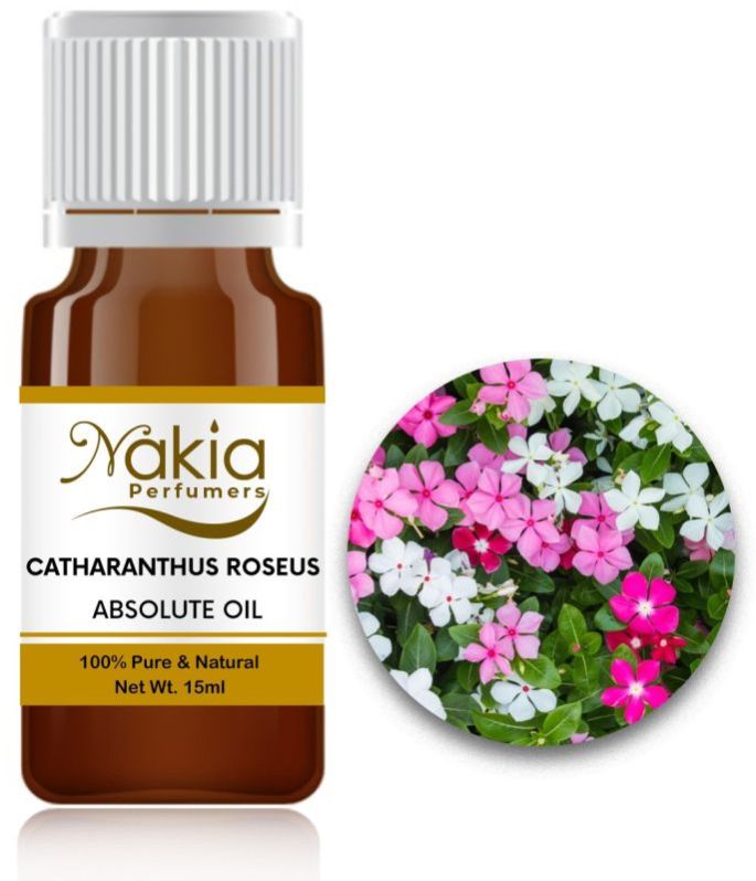 Catharanthus Roseus Absolute Oil