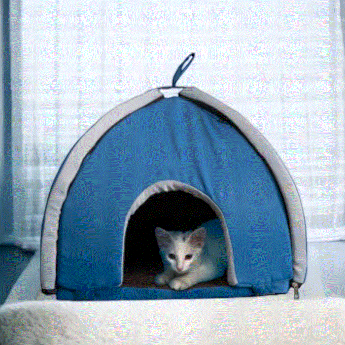 Cat Tent House