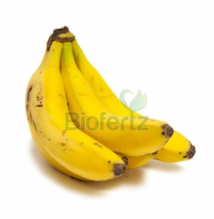 fresh banana