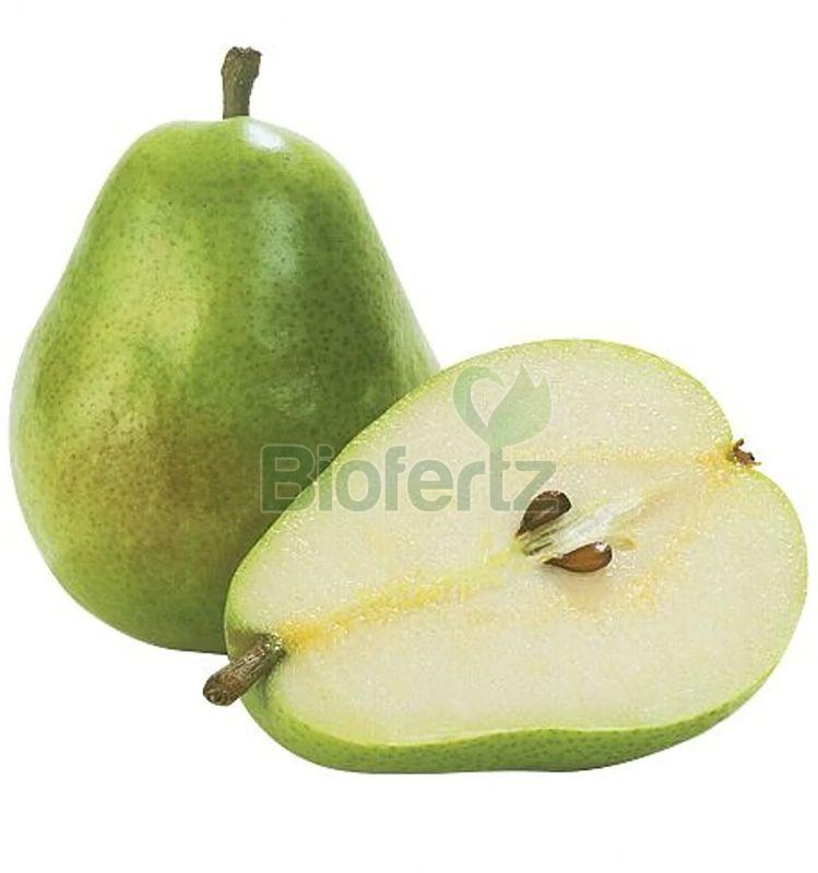 Fresh Pear