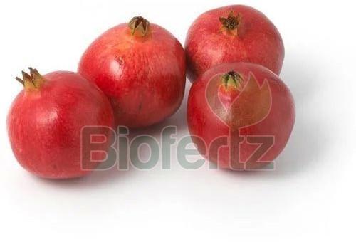 Fresh Pomegranate