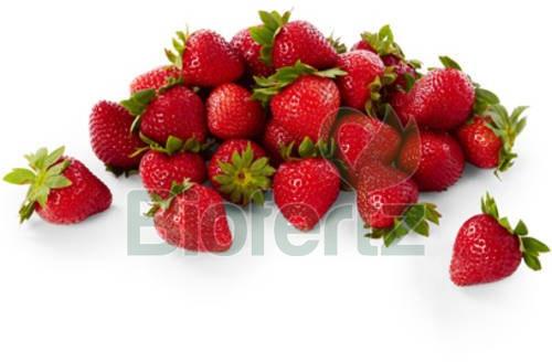 fresh strawberry