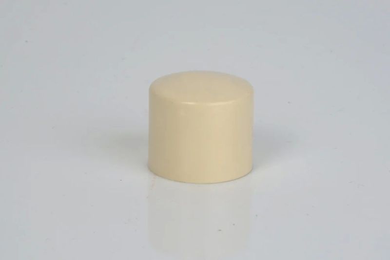 1.1/4 Inch CPVC End Cap