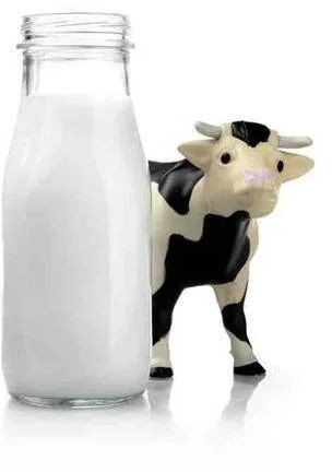 Fresh Cow Milk