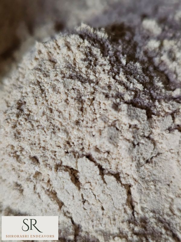 Dried Oyster Mushroom Powder