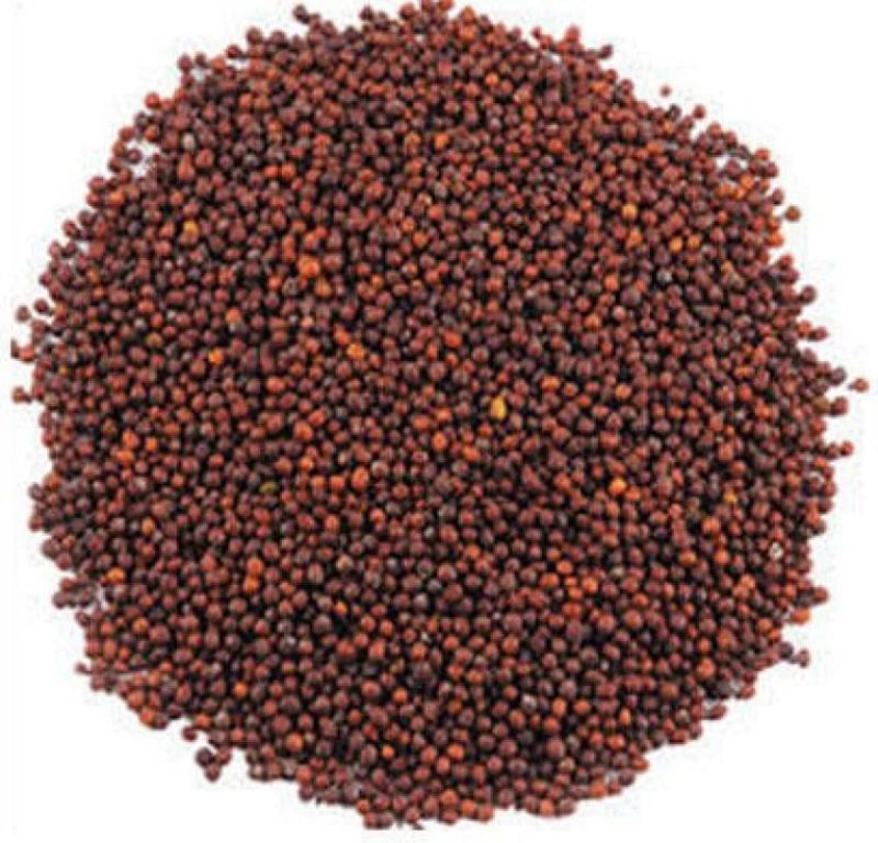 Brown Mustard Seeds