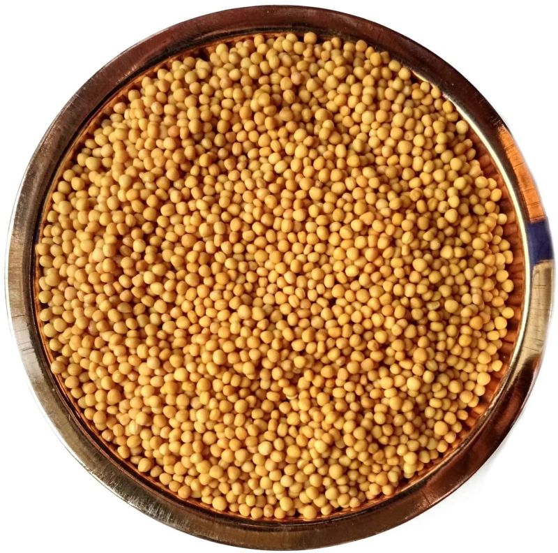 Yellow Mustard Seeds