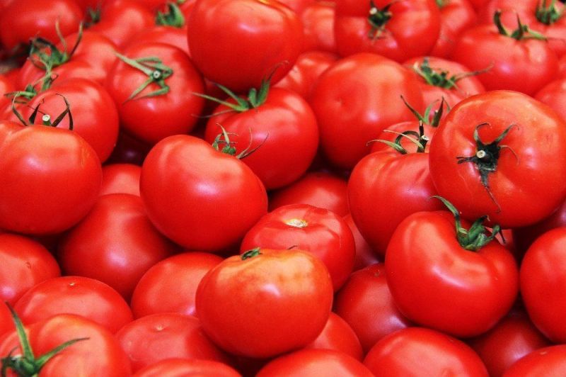fresh red tomato