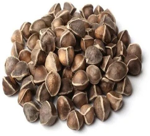 moringa seeds
