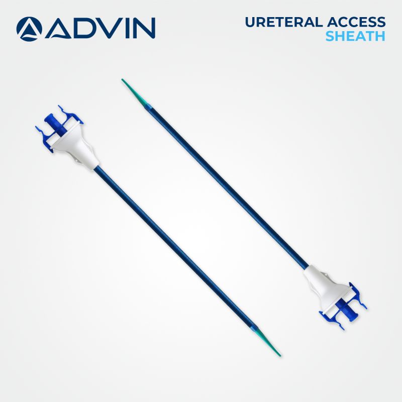 Ureteral Access Sheath