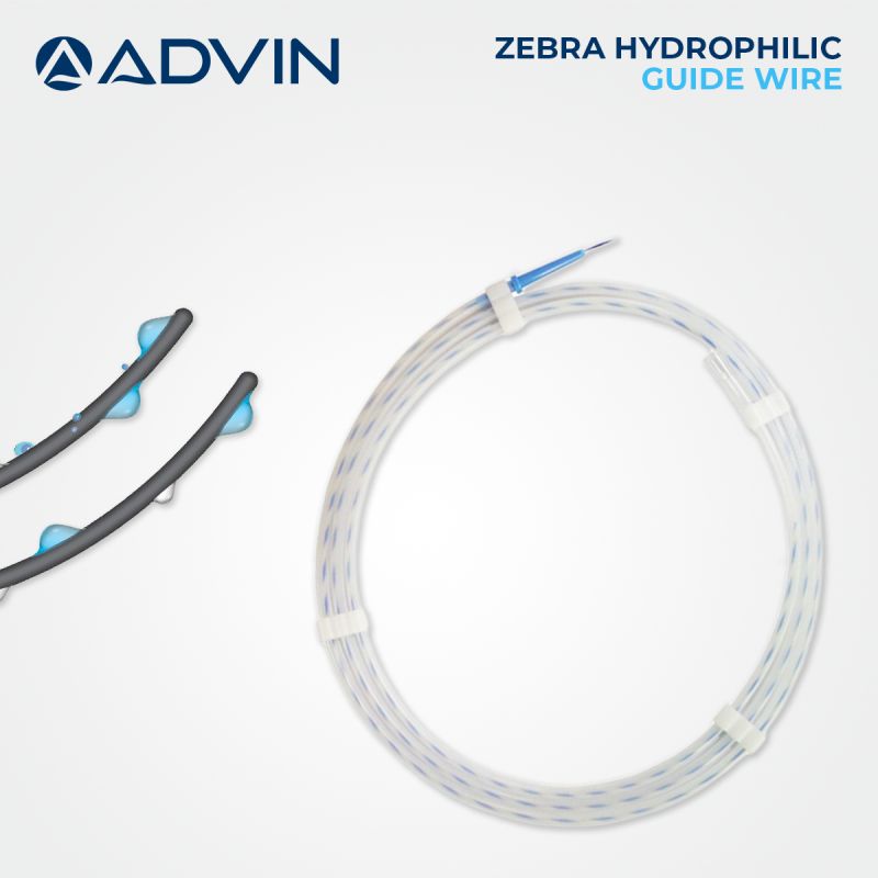 Zebra Hydrophilic Guide Wire