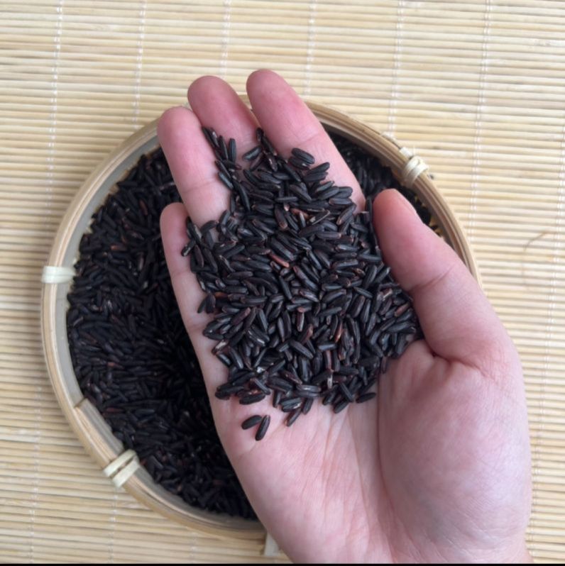 Anti Diabetic Cancer  Black Rice