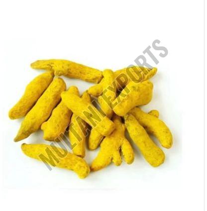 Yellow Turmeric Finger