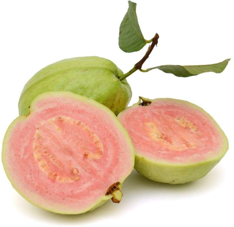 Taiwan Pink Guava