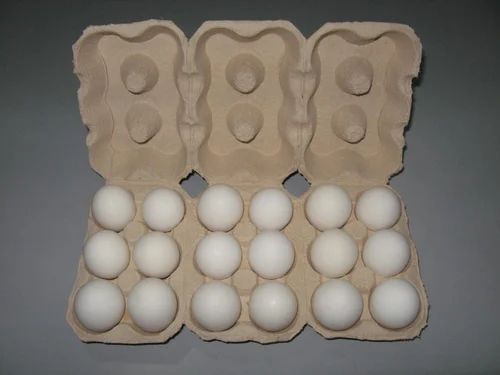 5mm Paper Quail Egg Tray