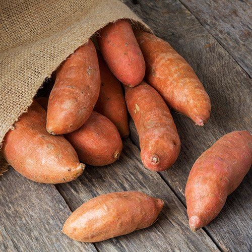 Organic Fresh Sweet Potato, Color : Brown