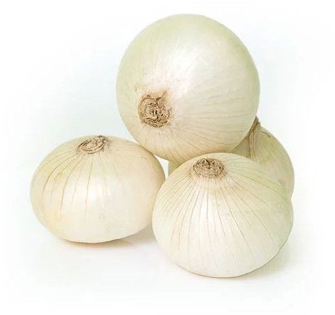 Fresh White Onion, Cultivation Type : Organic for Cooking