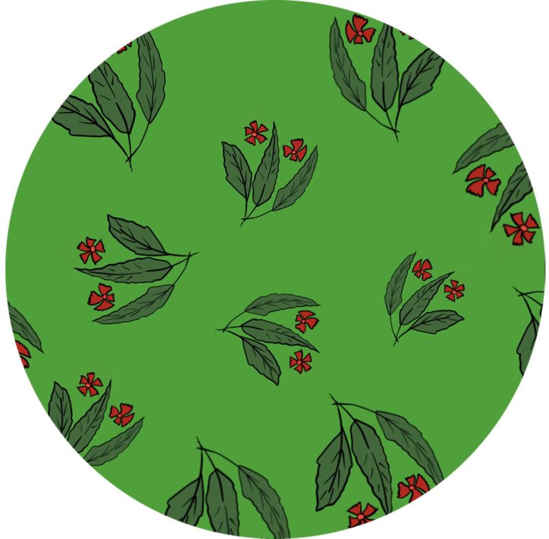 Green and Red Floral Print Fabric
