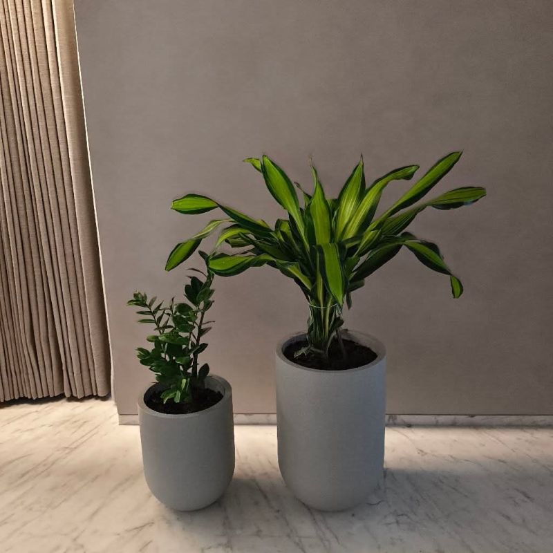 Fiber Reinforced Plastic Planter