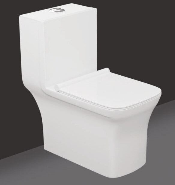 Dl 101 Dax Ceramic One Piece Closet