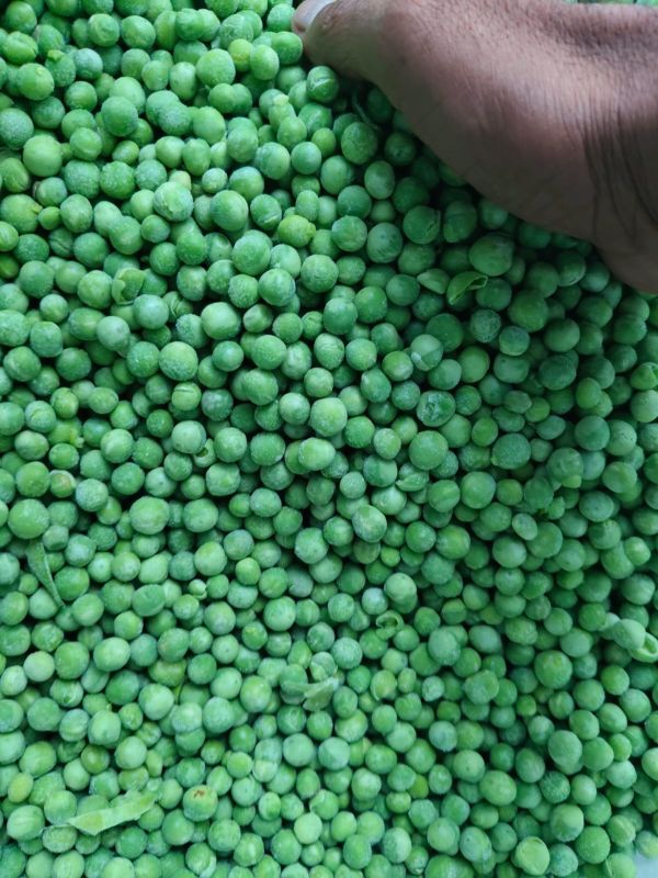 IQF Green Peas