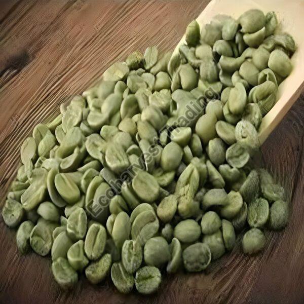 A Grade Robusta Parchment Washed Coffee Beans