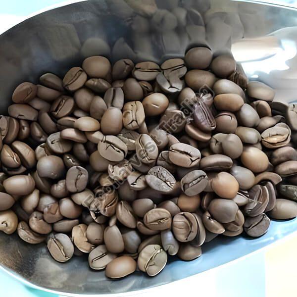 AA Grade Unwashed Arabica Cherry Coffee Beans