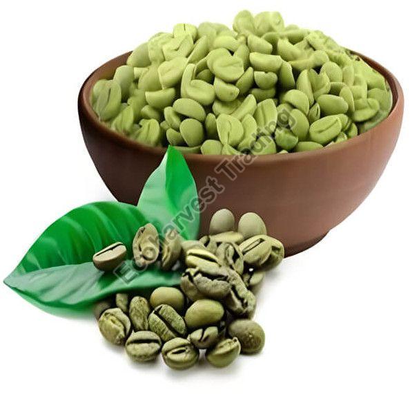 Aaa Grade Robusta Parchment Washed Coffee Beans