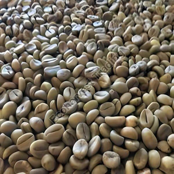 Robusta Cherry AA Unwashed Green Coffee Beans
