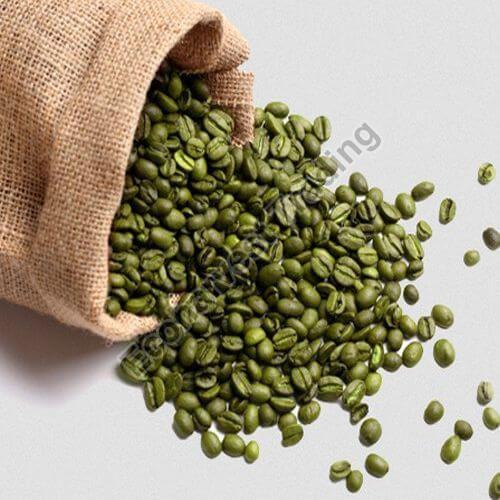 robusta green coffee beans