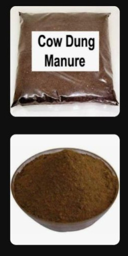 Cow Dung Manure, Form : Powder, Granules, Cake