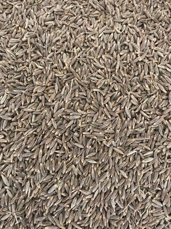 Cumin Seed Jeera