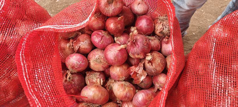 red onion