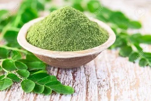 Herbal Moringa Leaf Powder, Purity : 99%, Moisture : Below 8%