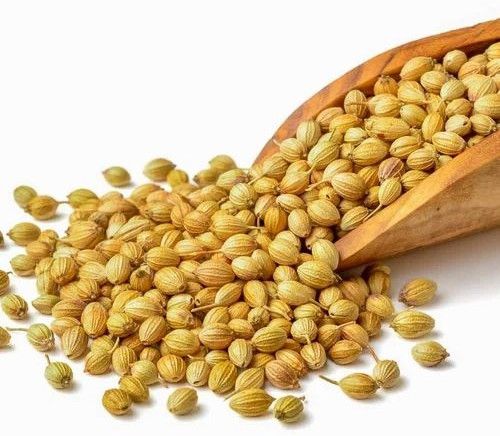 Light Brown Whole Bold Grade Coriander Seeds, Packaging Size : 500g