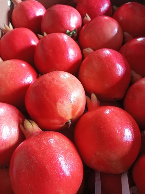Fresh Pomegranate