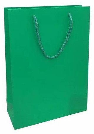 Green Plain Paper Shopping Bag