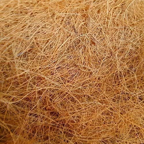 Coconut Fiber, Color : Brown, Packaging Type : Compressed Bales
