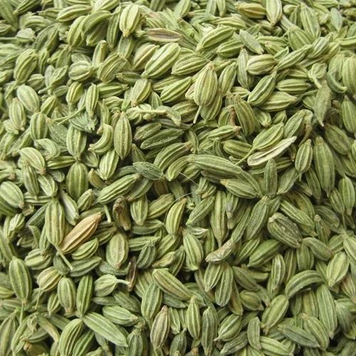 Green Fennel Seeds, Purity : 98%+, Certification : FSSAI Certified