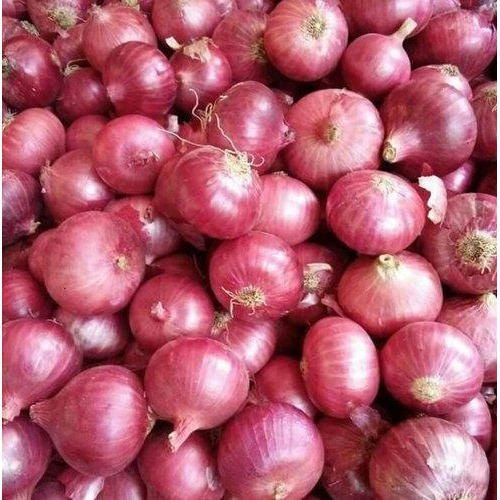 Fresh Red Onion, Packaging Size : 25-50kg Mesh Bag