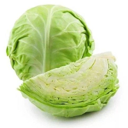 Bright Green A Grade Cabbage, Packaging Size : 25-50kg for Cooking