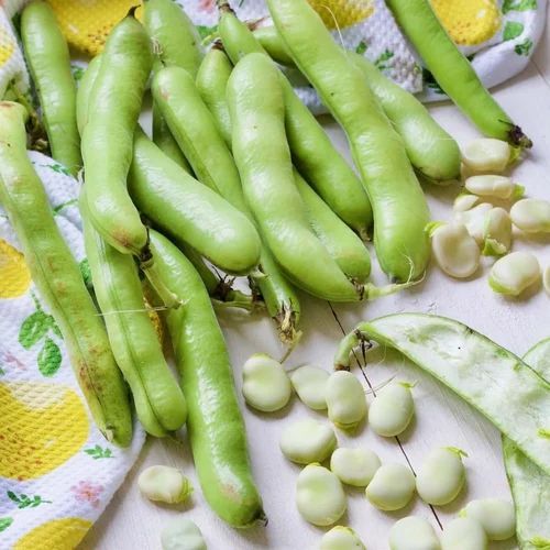 Bright Green Nutritious Broad Beans, Packaging Size : 5-25kg