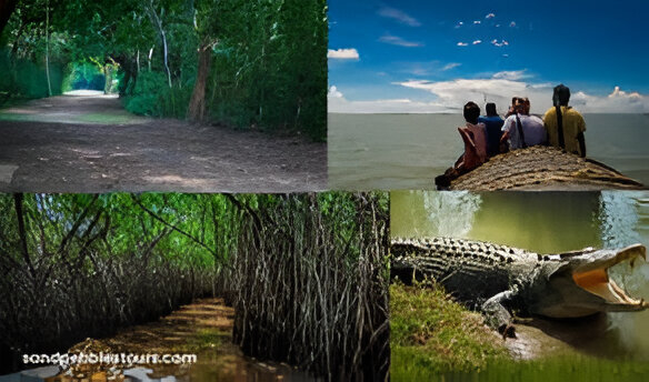 Dangamal Bhitarkanika Sanctuary Wildlife Trip Tour Package