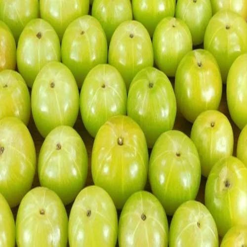 Organic Fresh Green Amla, Grade : Food Grade, Taste : Sour