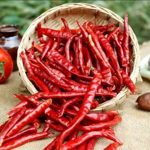 Organic Teja S17 Dried Red Chilli Food Grade for Cooking