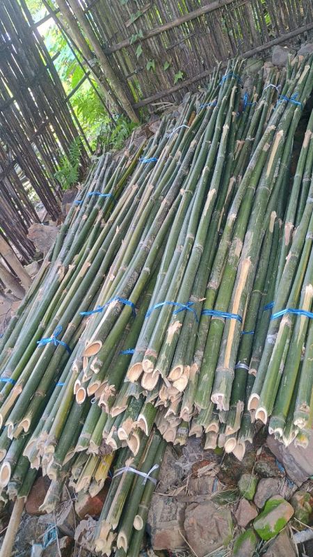 Deluxe Bamboo Poles