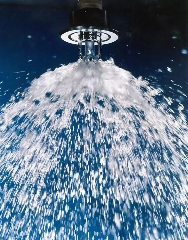 Fire Sprinkler System