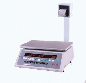 DS-252PR  Receipt Printer Scale